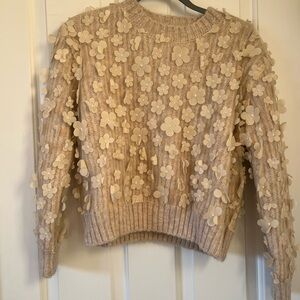 Zara Appliqué Sweater